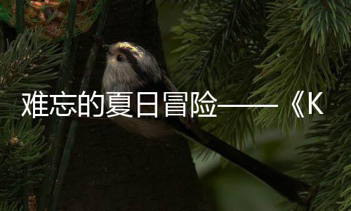 险 夏日冒日记日开难忘 年启的夏将忆岛于月